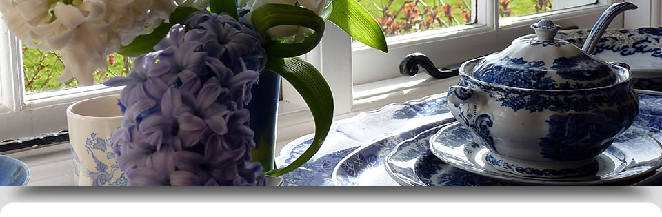 Window View