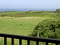 View From Lower Tresmorn