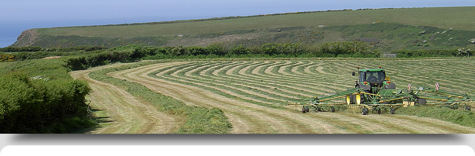 Tractor cutting grass