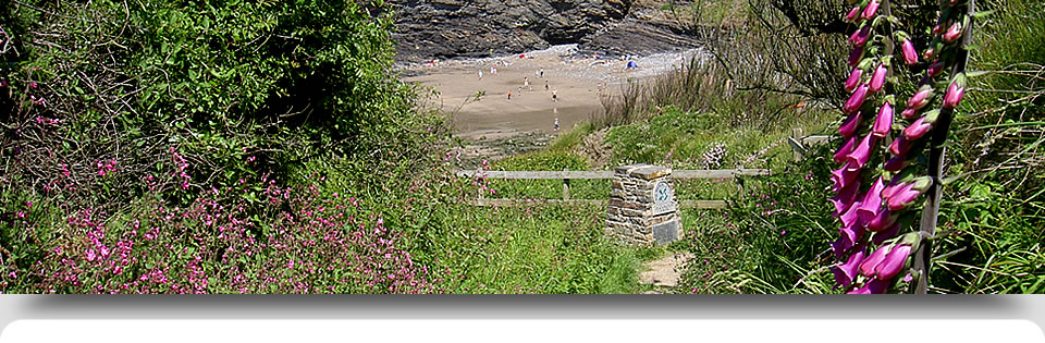 Walk to beach