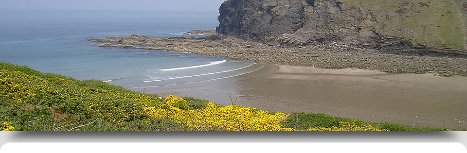 View of beach